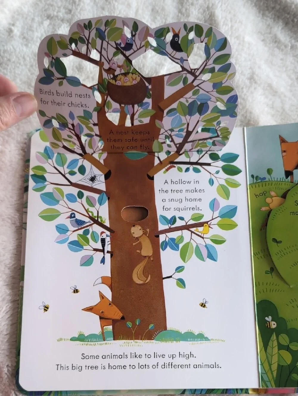 usborne four like
